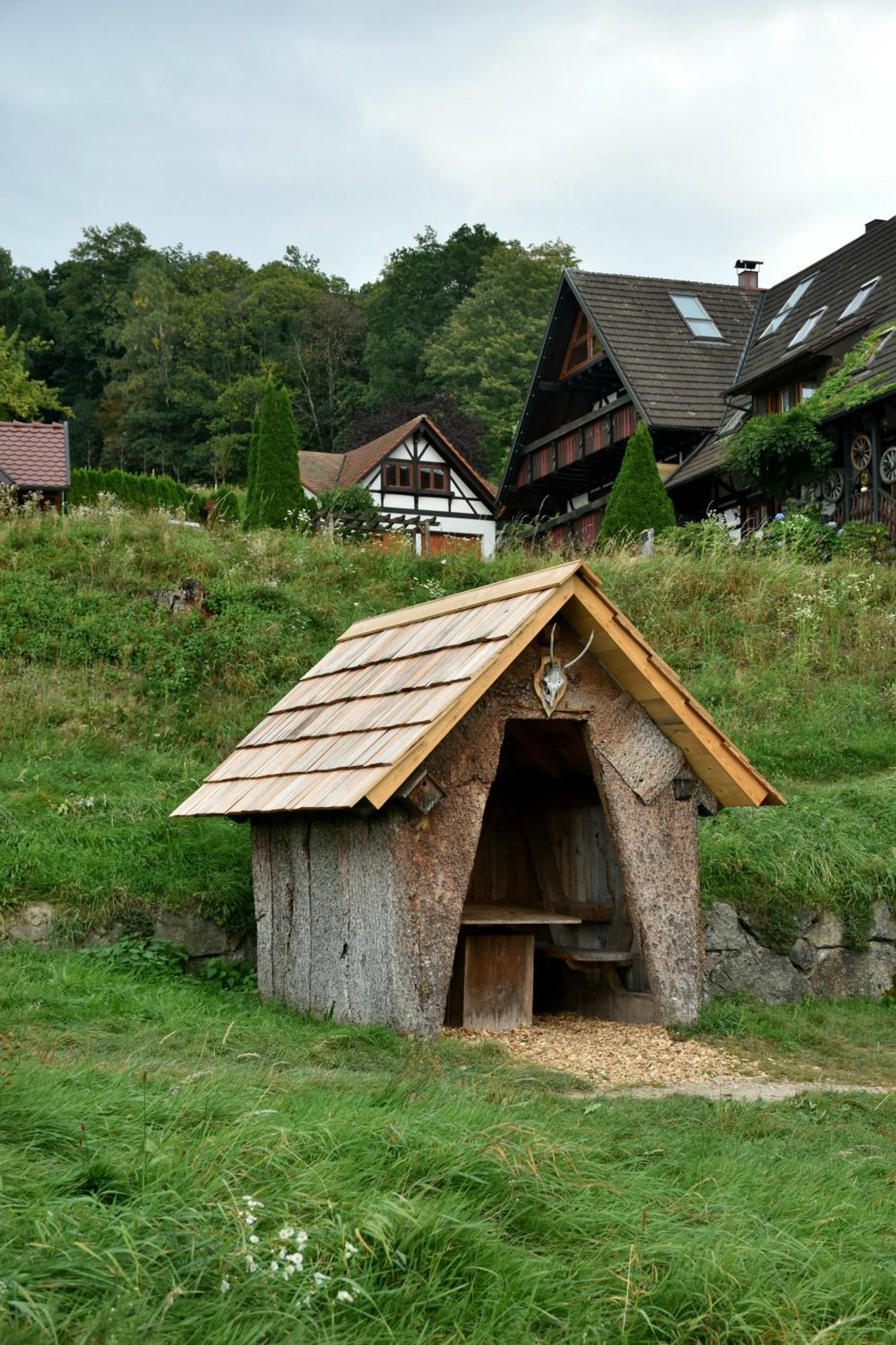 Renatas Ferienwohnung Wohnung David Sasbachwalden Bagian luar foto